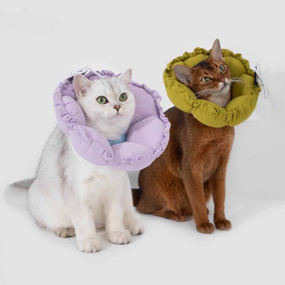 雙調節花瓣伊莉莎白頸圈(五色)